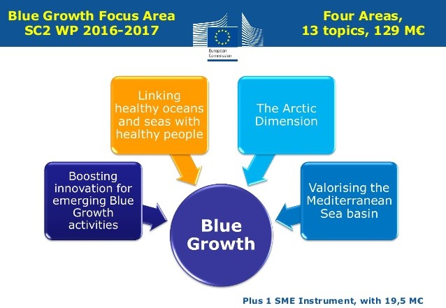 Four blue growth areas SC2 WP 2016-2017
