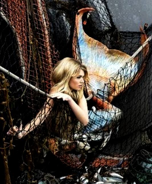Mermaid trapped in a fishing trawlers nets