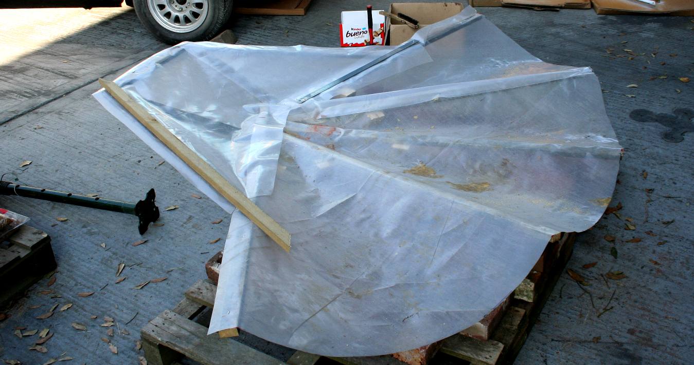 Giant clam scallops in polythene plastic
