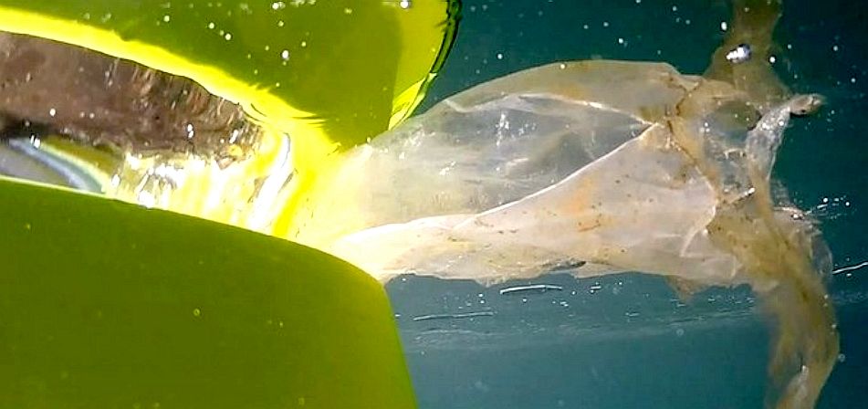 Seabin slurping up plastic