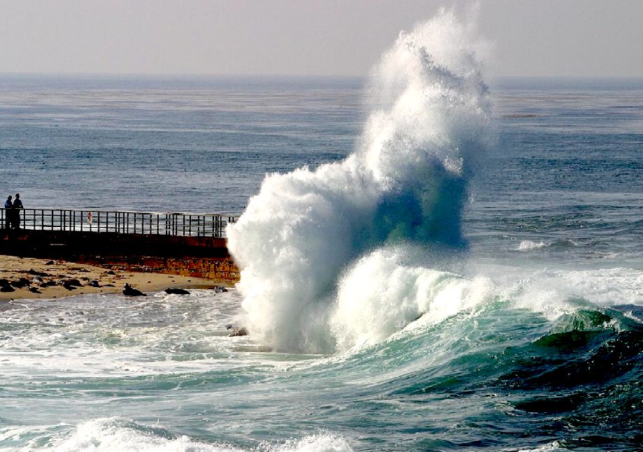 The health of our oceans are important to feed the world sustainnably