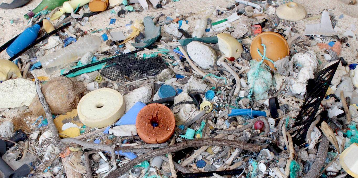 Beach plastic flotsam